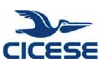 CICESE