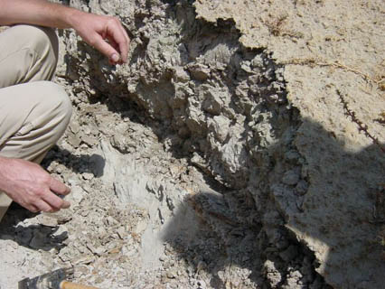 Basal rupture surface of landslide