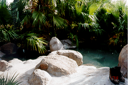 hot pool