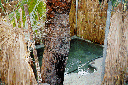 hot tub