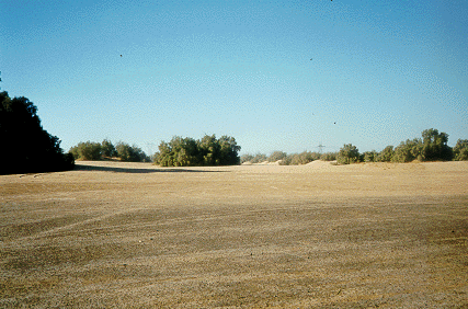 Heber Dunes