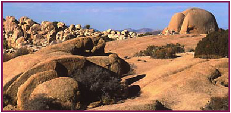 Joshua Tree National Park