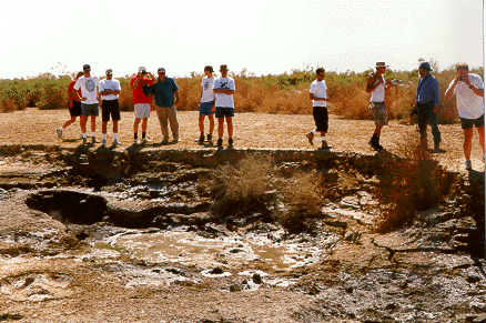 mud pots