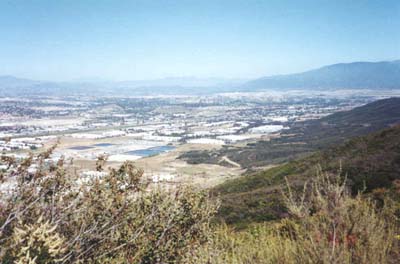 Wolf Valley