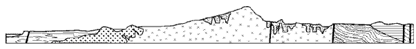 SDAG banner